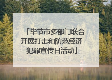 毕节市多部门联合开展打击和防范经济犯罪宣传日活动