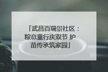 武昌百瑞景社区：粽意童行庆双节 护苗传承筑家园