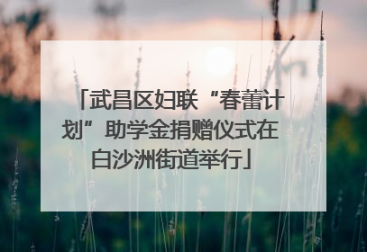 武昌区妇联“春蕾计划”助学金捐赠仪式在白沙洲街道举行