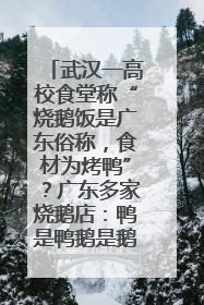武汉一高校食堂称“烧鹅饭是广东俗称，食材为烤鸭”？广东多家烧鹅店：鸭是鸭鹅是鹅