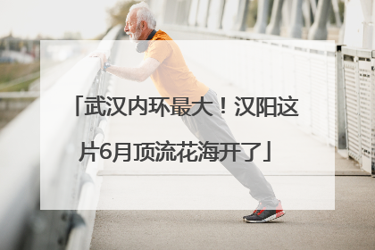 武汉内环最大！汉阳这片6月顶流花海开了