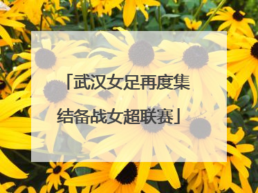 武汉女足再度集结备战女超联赛