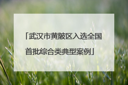 武汉市黄陂区入选全国首批综合类典型案例