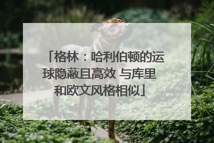 格林：哈利伯顿的运球隐蔽且高效 与库里和欧文风格相似