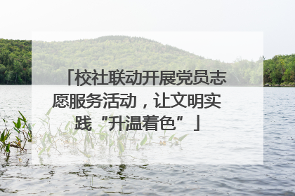 校社联动开展党员志愿服务活动，让文明实践“升温着色”