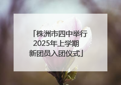 株洲市四中举行2025年上学期新团员入团仪式