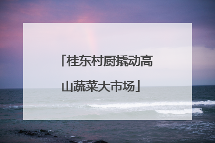 桂东村厨撬动高山蔬菜大市场