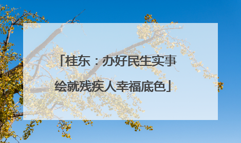 桂东：办好民生实事 绘就残疾人幸福底色