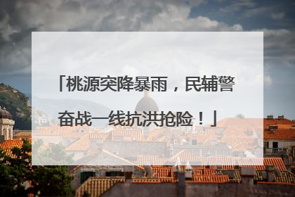 桃源突降暴雨，民辅警奋战一线抗洪抢险！