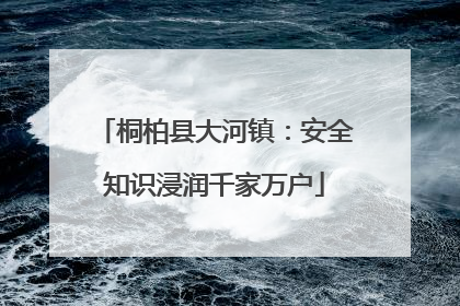 桐柏县大河镇：安全知识浸润千家万户