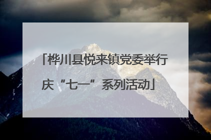 桦川县悦来镇党委举行庆“七一”系列活动