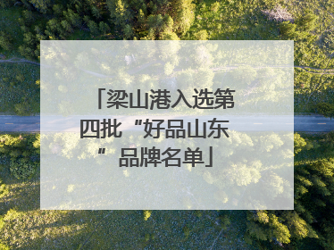 梁山港入选第四批“好品山东”品牌名单