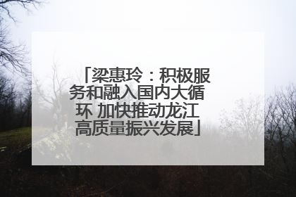 梁惠玲：积极服务和融入国内大循环 加快推动龙江高质量振兴发展