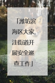 潍坊滨海区大家洼街道开展安全巡查工作