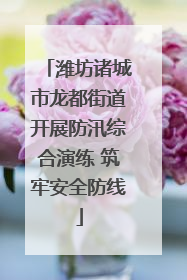 潍坊诸城市龙都街道开展防汛综合演练 筑牢安全防线