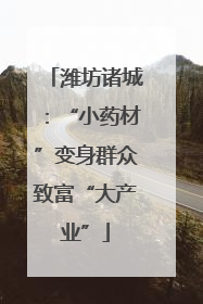潍坊诸城：“小药材”变身群众致富“大产业”