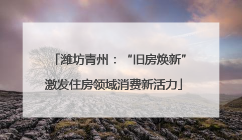 潍坊青州：“旧房焕新”激发住房领域消费新活力