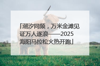潮汐同频，万米金滩见证万人逐浪——2025海阳马拉松火热开跑