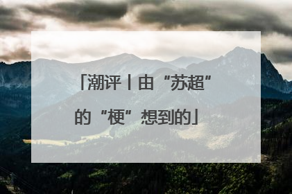 潮评丨由“苏超”的“梗”想到的