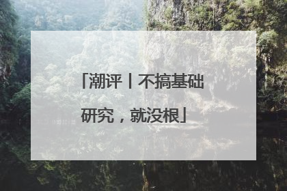 潮评丨不搞基础研究，就没根
