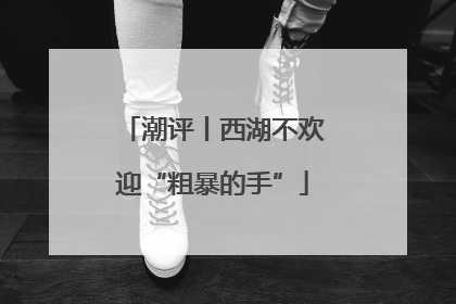 潮评丨西湖不欢迎“粗暴的手”