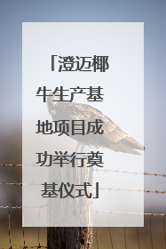 澄迈椰牛生产基地项目成功举行奠基仪式