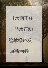 水润王庄：节水行动绘就绿色发展新画卷