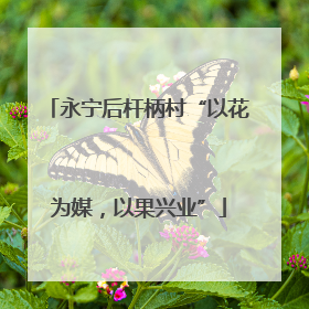 永宁后杆柄村“以花为媒，以果兴业”