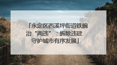 永定区西溪坪街道铁腕治“两违”：拆除违建 守护城市有序发展