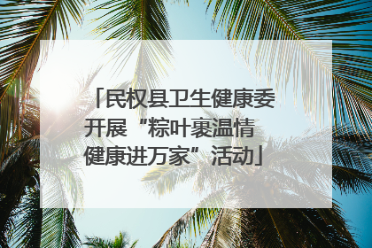 民权县卫生健康委开展“粽叶裹温情 健康进万家”活动