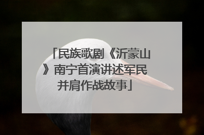 民族歌剧《沂蒙山》南宁首演讲述军民并肩作战故事