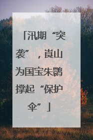 汛期“突袭”，崀山为国宝朱鹮撑起“保护伞”