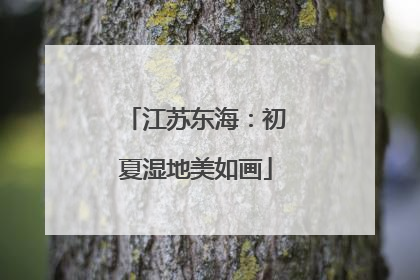 江苏东海：初夏湿地美如画