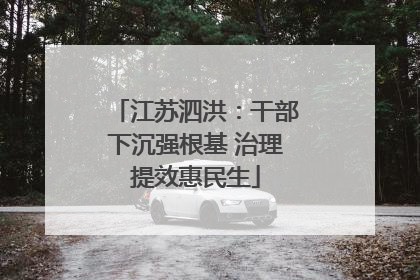 江苏泗洪：干部下沉强根基 治理提效惠民生