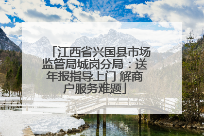 江西省兴国县市场监管局城岗分局：送年报指导上门 解商户服务难题