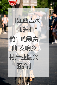 江西吉水：19村“鸽”鸣致富曲 奏响乡村产业振兴强音