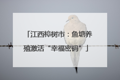 江西樟树市：鱼塘养殖激活“幸福密码”