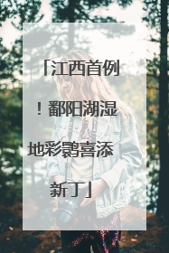 江西首例！鄱阳湖湿地彩鹮喜添新丁