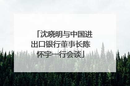 沈晓明与中国进出口银行董事长陈怀宇一行会谈