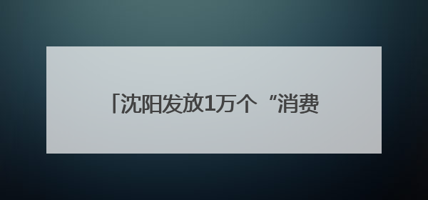沈阳发放1万个“消费券包”，每份3张共计180元，领取方式→