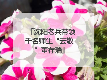 沈阳老兵带领千名师生“云敬”董存瑞