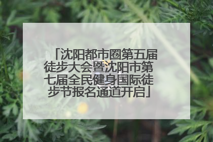 沈阳都市圈第五届徒步大会暨沈阳市第七届全民健身国际徒步节报名通道开启