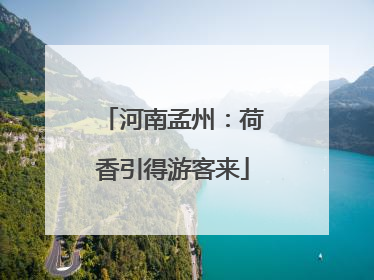 河南孟州：荷香引得游客来