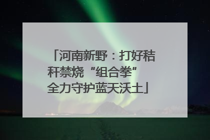 河南新野：打好秸秆禁烧“组合拳” 全力守护蓝天沃土