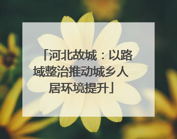 河北故城：以路域整治推动城乡人居环境提升