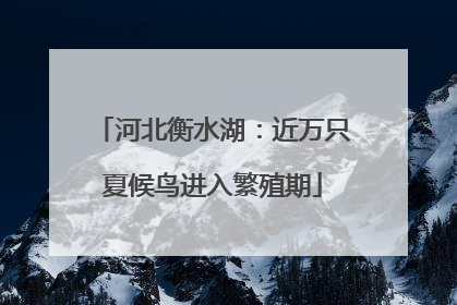 河北衡水湖：近万只夏候鸟进入繁殖期