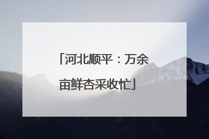 河北顺平：万余亩鲜杏采收忙