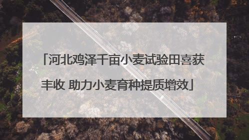河北鸡泽千亩小麦试验田喜获丰收 助力小麦育种提质增效