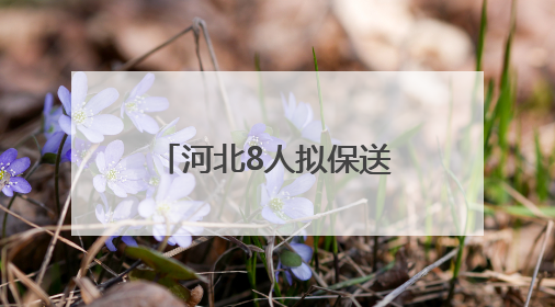 河北8人拟保送清华北大！来自这些高中……