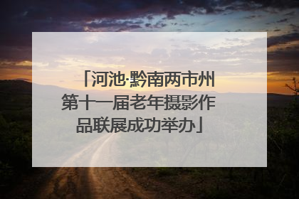 河池·黔南两市州第十一届老年摄影作品联展成功举办